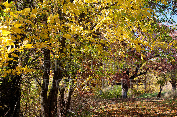20111008-_DSC9187-42