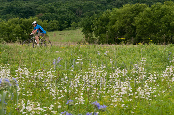 20110611-_DSC6548-2