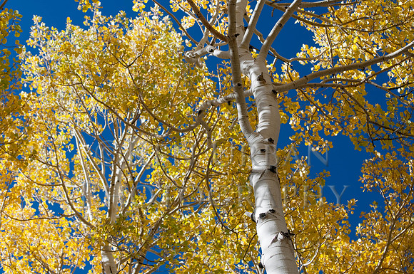 _DSC1500-29