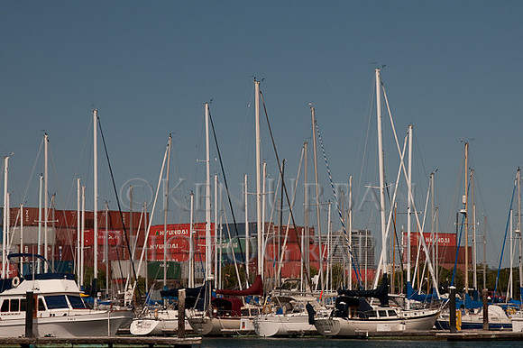 _DSC1954