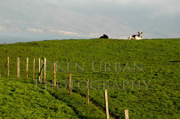 689- DSC_0047