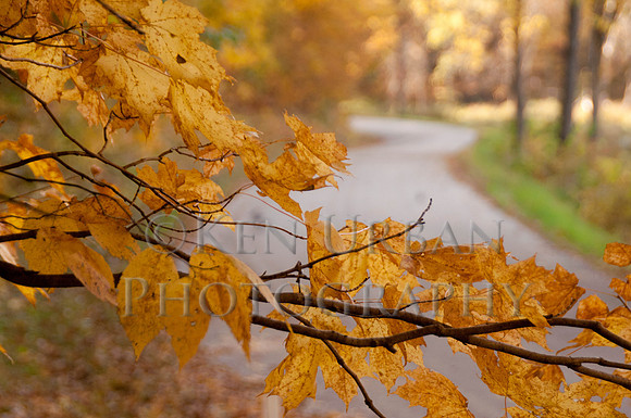 20111008-_DSC9151-41