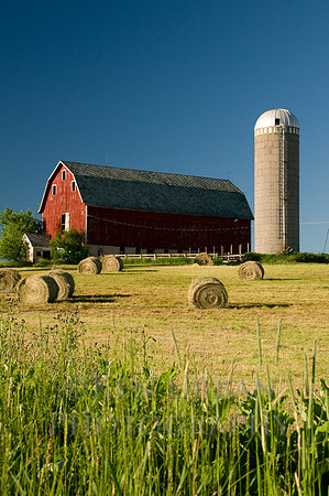 _DSC9049