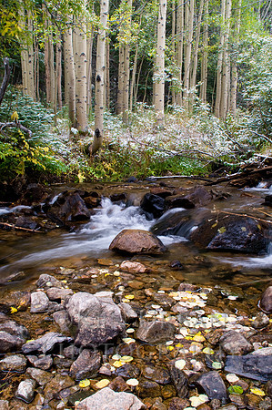 20090921-DSC0634 30 X 45-25