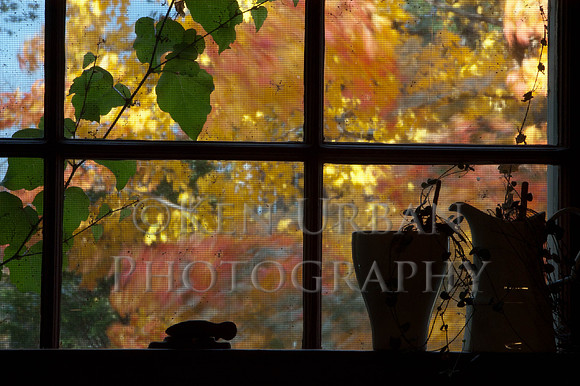 20041023-DSC_0461-7