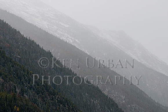 _DSC0842