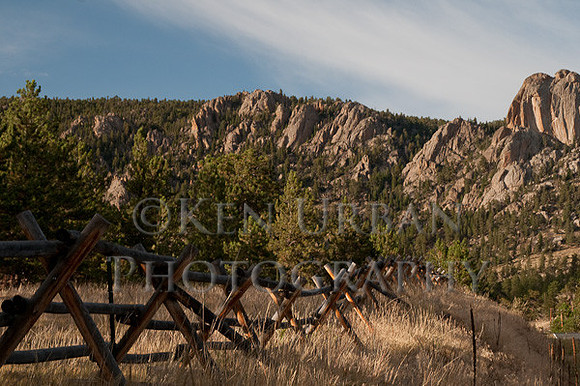 _DSC0950
