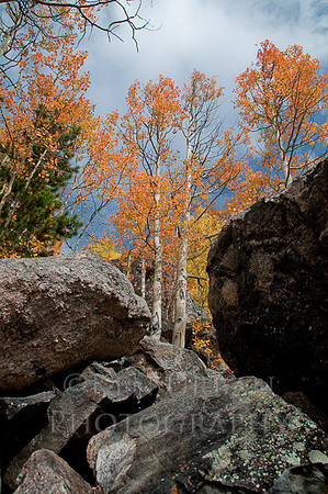 _DSC0710