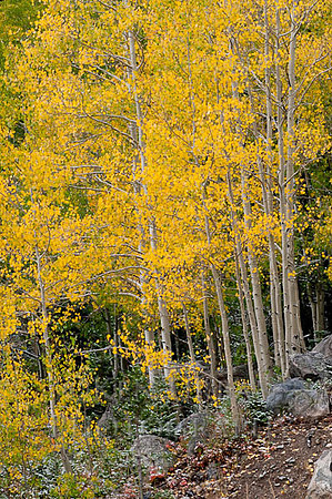 20090921-_DSC0610-22