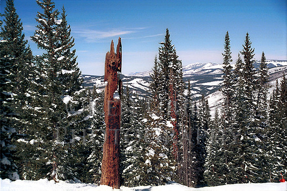 427- CO 7-98.8A