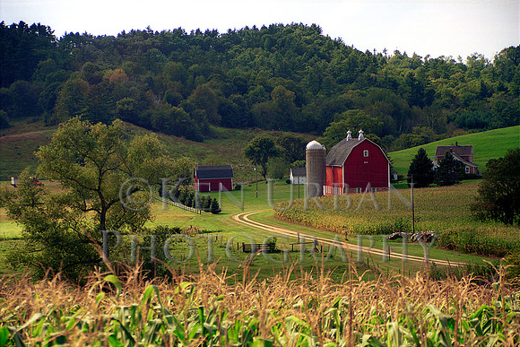 294- 98-54.1