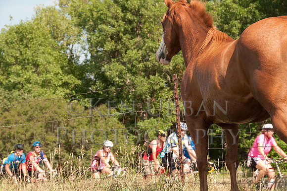20120723-_DSC2818