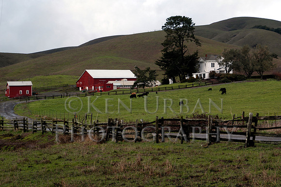 684- DSC_0038