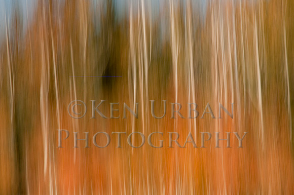 _DSC3142-Edit