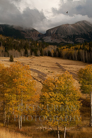 _DSC3763