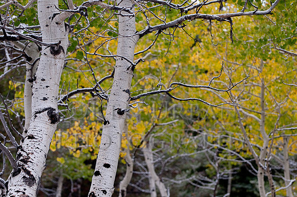 _DSC0577
