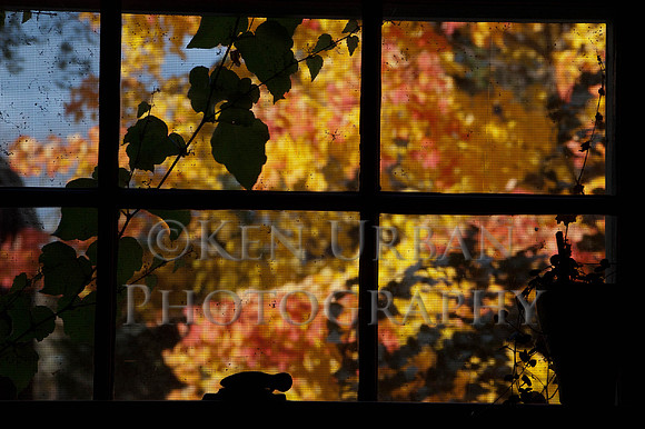 20041023-DSC_0450-6