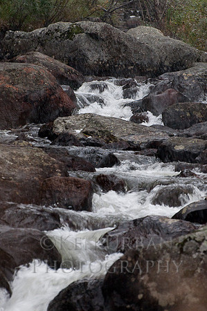 _DSC0527