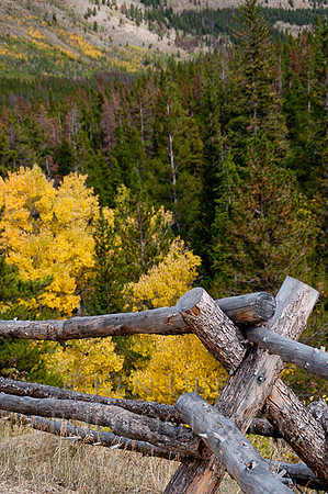 _DSC0778