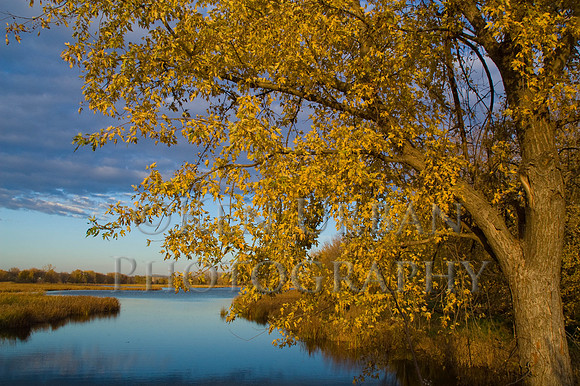 20071104-DSC_1209-16
